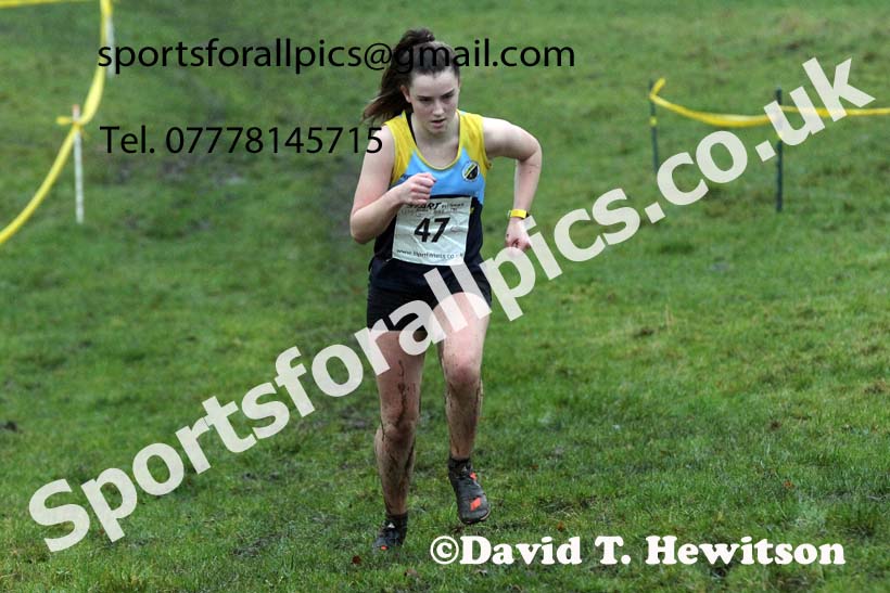Girls under-15s, NECAA Junior Cross Country Relays, Thornley Farm, Peterlee, Saturday, December 12th. Photo: David T. Hewitson/Sports for All Pics